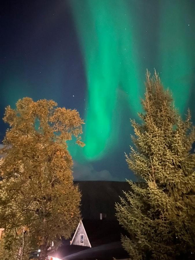 Tromso Arctic Villa With Free Parking Extérieur photo