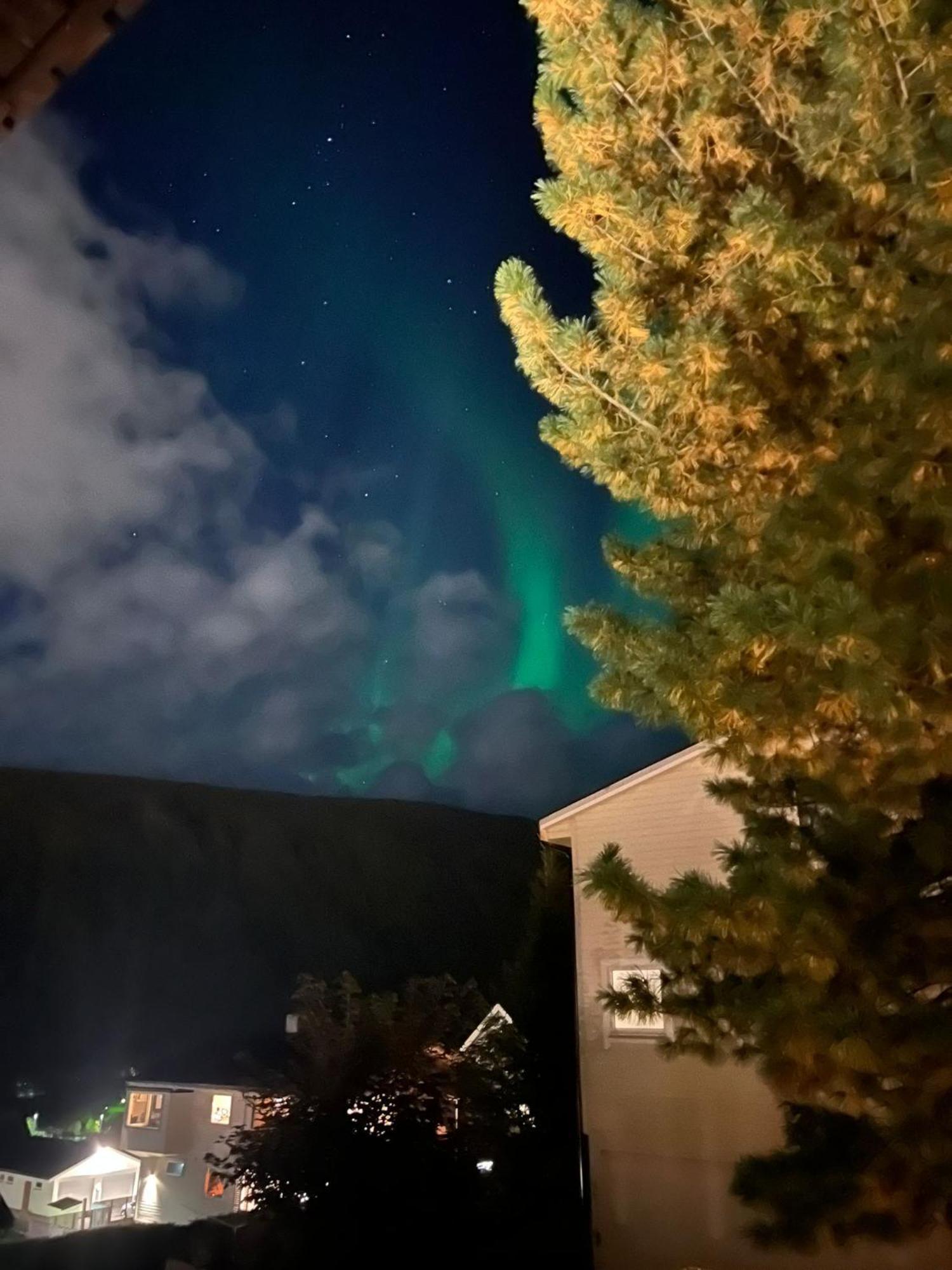 Tromso Arctic Villa With Free Parking Extérieur photo